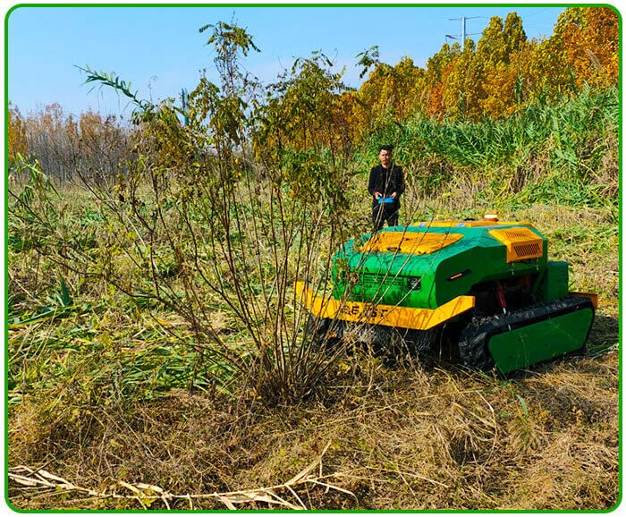 Remote Control Flail Lawnmower