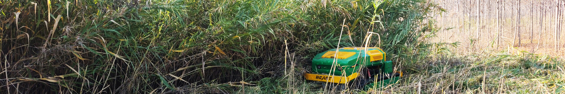 Product Inquiry - Remote Control Slope Lawn Mower and Flail Mulcher For Sale