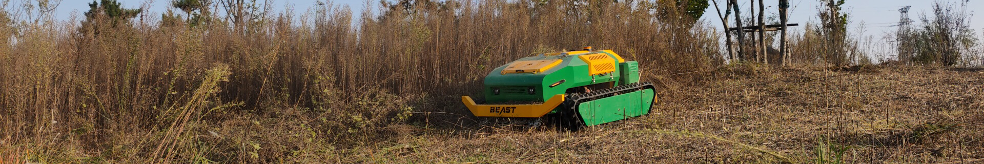 Remote Control Mowers For Sale