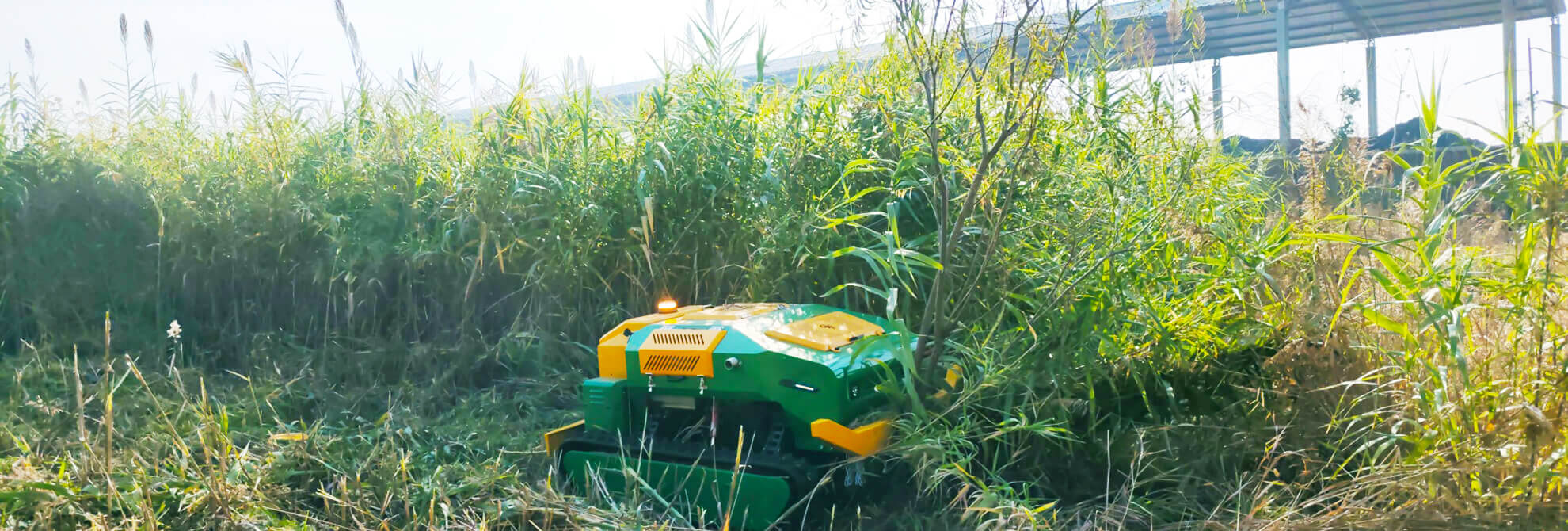 Remote Control Flail Mower