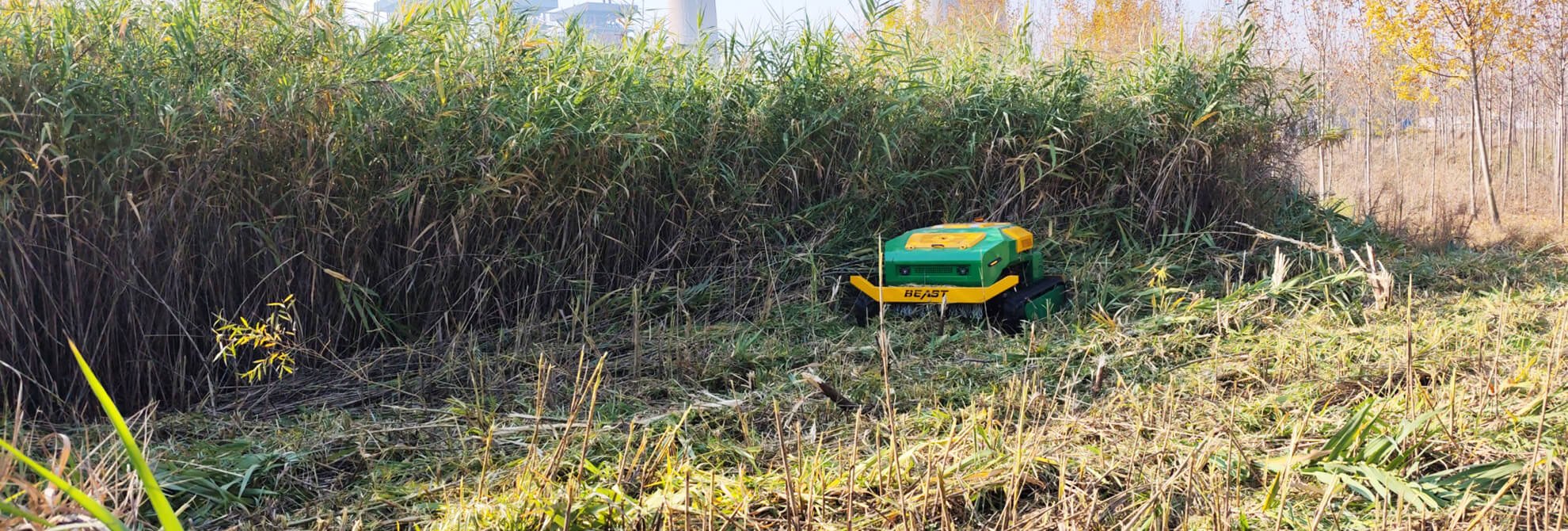 Remote Control Lawn Mower