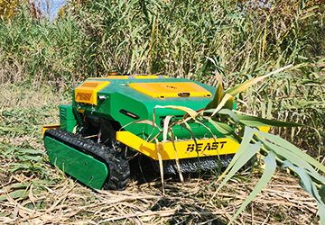 Professional & Qualified